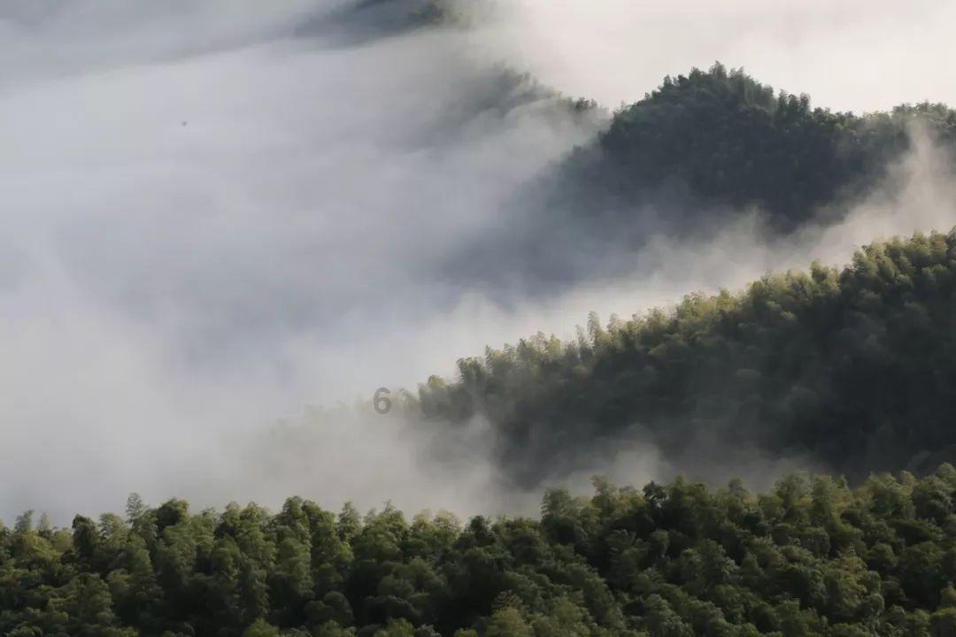 月光影视